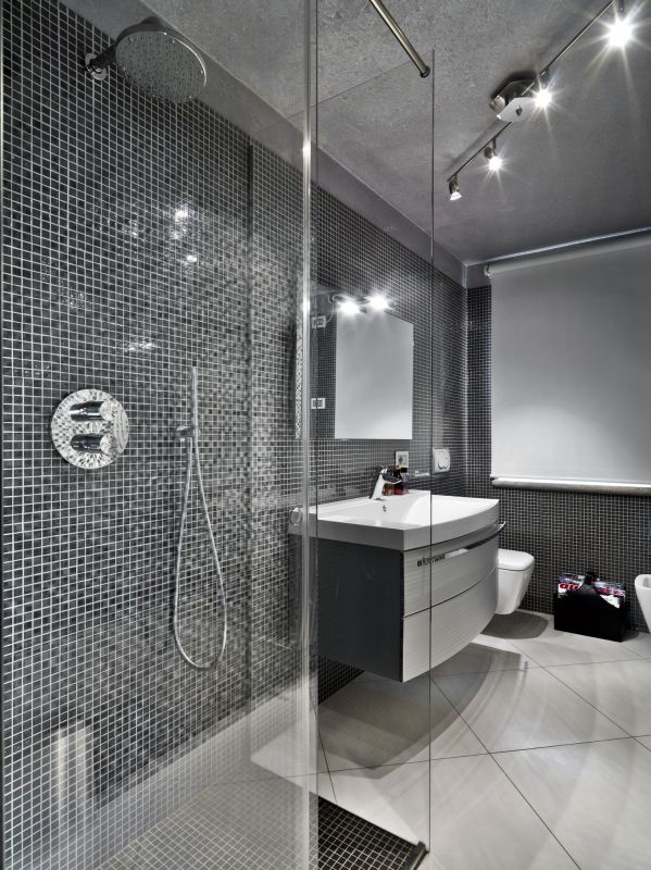Elegant Glass Shower